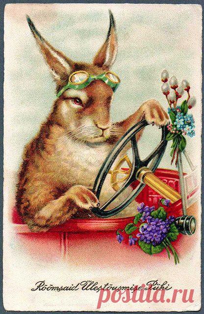 Найдено на сайте flickr.com.