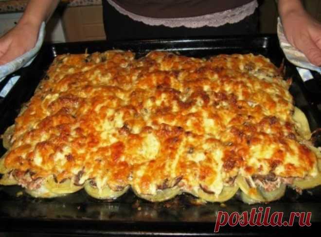 Рецепт дивовижної страви з фаршу, яка затьмарить будь-які котлети | Смачні рецепти домашніх страв