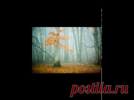 Рэй Брэдбери «Электронная Бабушка» / аудио + фильм