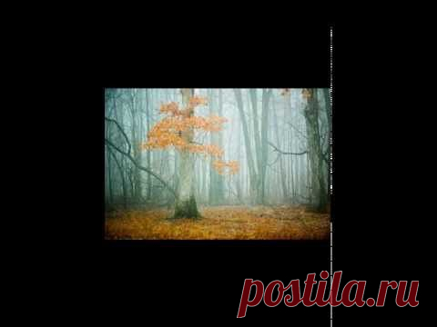 Рэй Брэдбери «Электронная Бабушка» / аудио + фильм