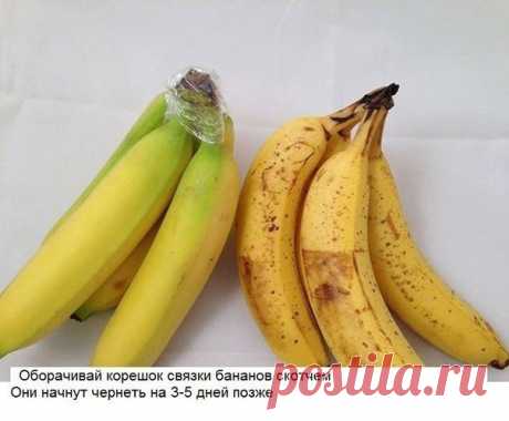 10 хитрых кухонных лайфхака, о которых не знает даже твоя мама!