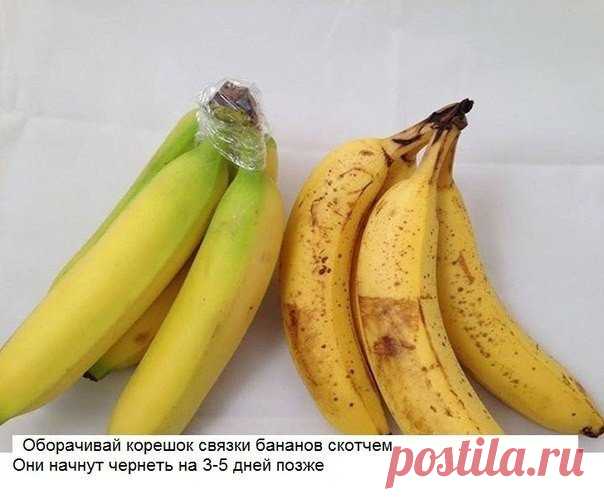 10 хитрых кухонных лайфхака, о которых не знает даже твоя мама!