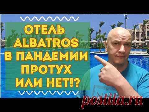 Albatros Palace Resort 5* новый обзор отеля в пандемию... - YouTube