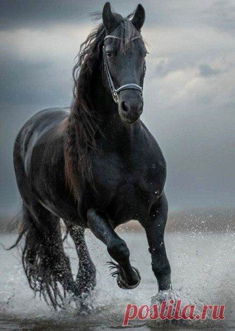 ღ