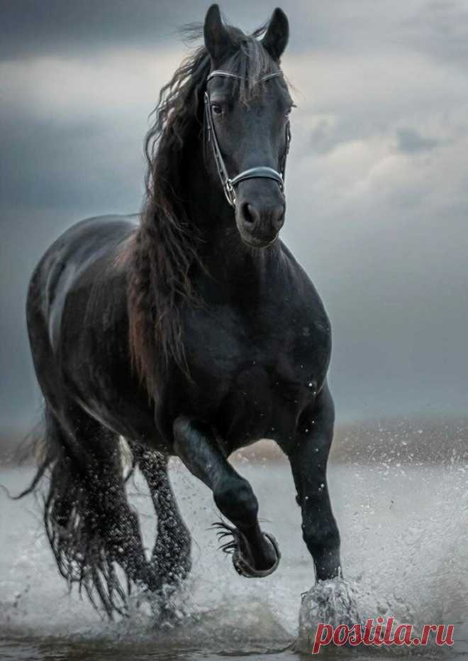 ღ