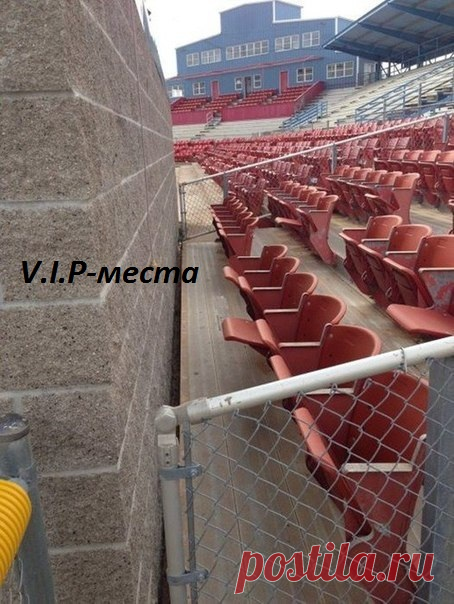V.I.P-места! )))