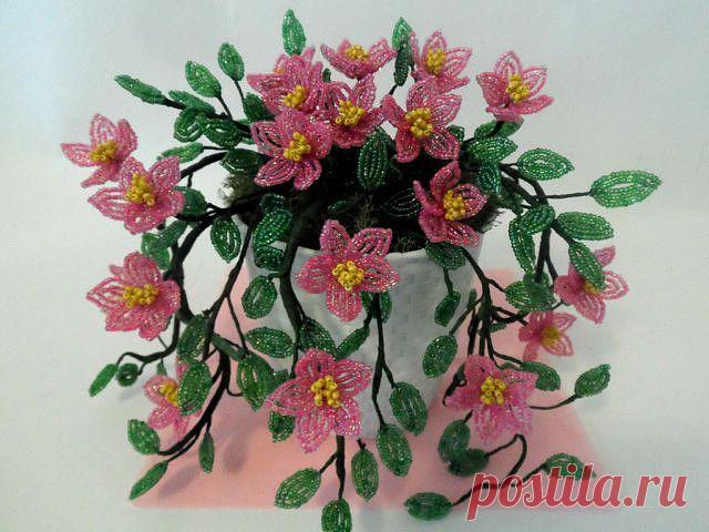 Одноклассники