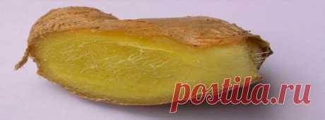 Домашнее средство от перхоти | pokolenie-x.com
