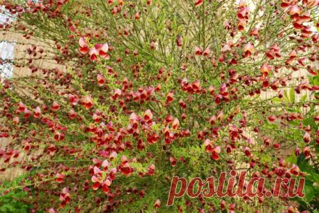 Оксана Клименко Бранди
38 лет, Италия, Перуджа