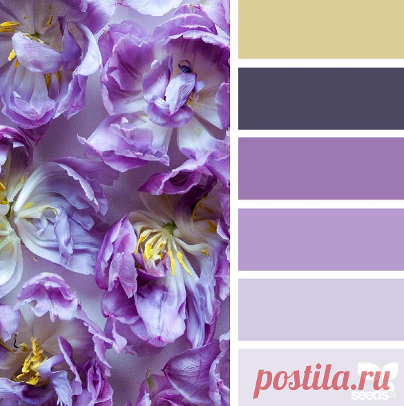 jessica colaluca (@designseeds) • Фото и видео в Instagram