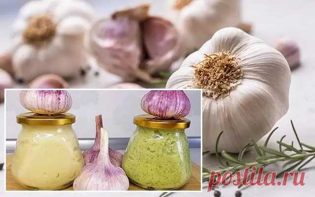 Чесночная паста и чесночный порошок — заготовки на зиму
