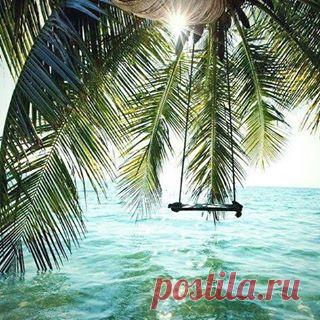 Наш план на воскресенье выглядит как-то так! А ваш? #EndlessSummerSurfSchool