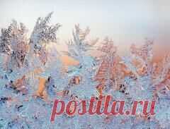 17 февраля в народном календаре Никола Студеный