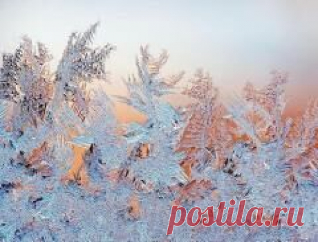 17 февраля в народном календаре Никола Студеный