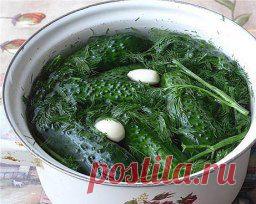 (3) Одноклассники