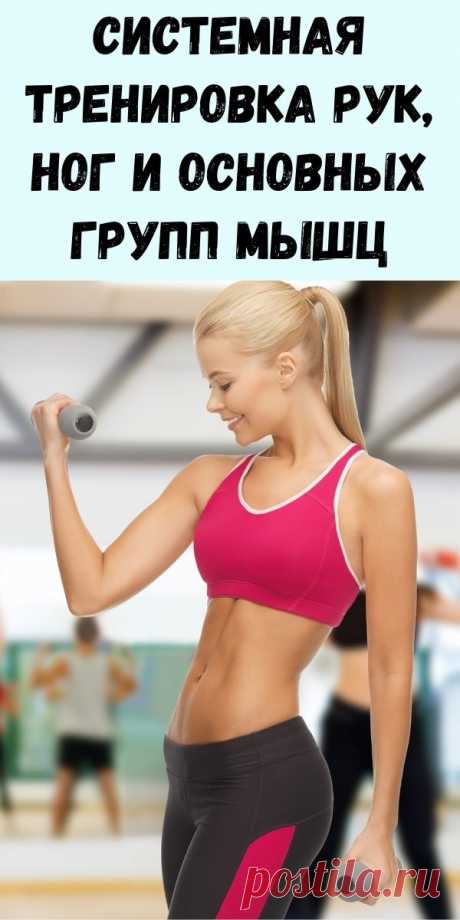 Системная тренировка рук, ног и основных групп мышц - Журнал для женщин