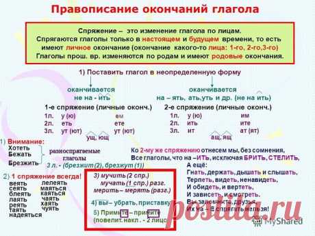 (1) Одноклассники