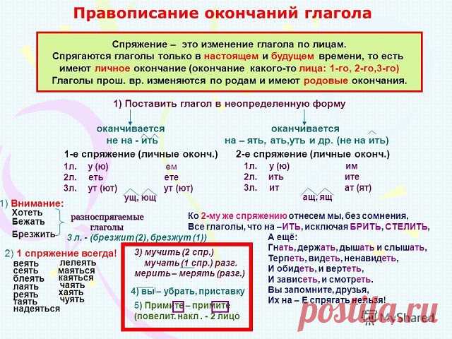 (1) Одноклассники