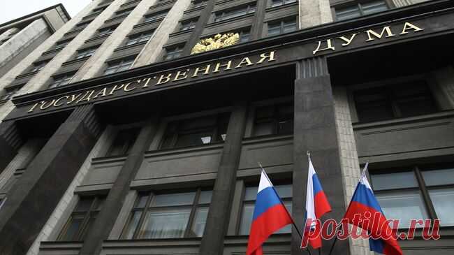 В Госдуме назвали сроки создания национального многофункционального сервиса