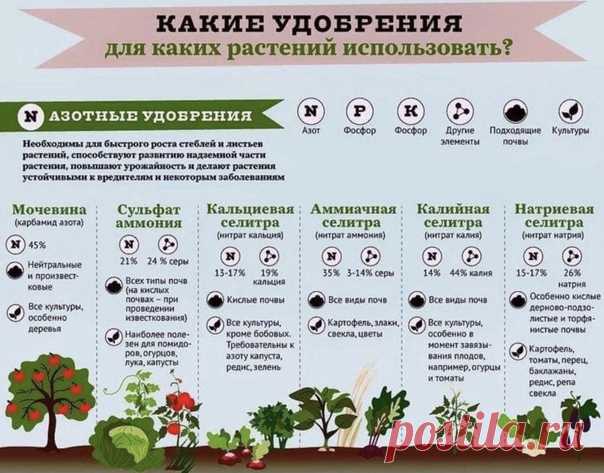 Удобрения тоже нужно использовать с умом.
Что, когда и куда использовать
Забираем и сохраняем!

Идеи дачникам