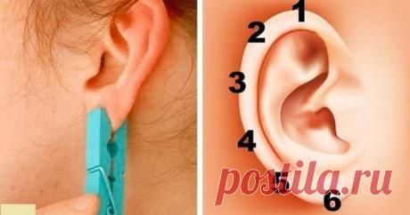 Зажмите ухо прищепкой на 5 секунд. Эффект будет неожиданным, обещаю! 
Китайская традиция в действии.
В жизни никуда не деться от боли и усталости. Это нормально: все мы люди и не можем постоянно чувствовать себя идеально. 
Но вы удивитесь, какой запас здоровья хранят в себе внешние и внутренние органы вашего тела! И этот запас можно высвободить. 
Существует интересный и необычный способ управления энергией в теле — рефлексология. Придумали его китайцы, много тысяч лет наза...
