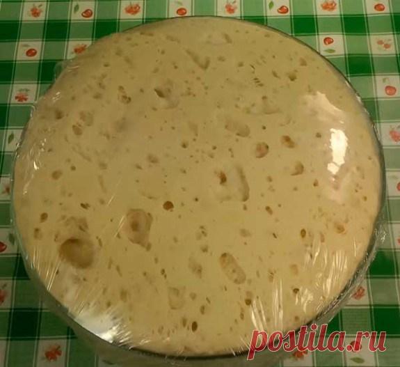 Готовим дрожжевое тесто на молоке для пирожков и пирогов