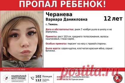 В российском городе исчезла 12-летняя девочка с пирсингом в носу. В Тюмени исчезла 12-летняя девочка с пирсингом в носу, по словам родителей, она ушла в школу и не вернулась. Несовершеннолетнюю горожанку начали разыскивать сотрудники полиции и неравнодушные граждане. Школьница в день пропажи была одета в серую куртку, клетчатую красную юбку и ботинки.