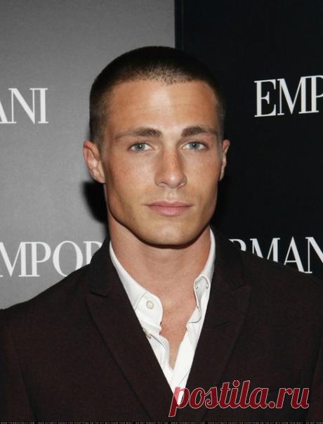 Колтон Хэйнс