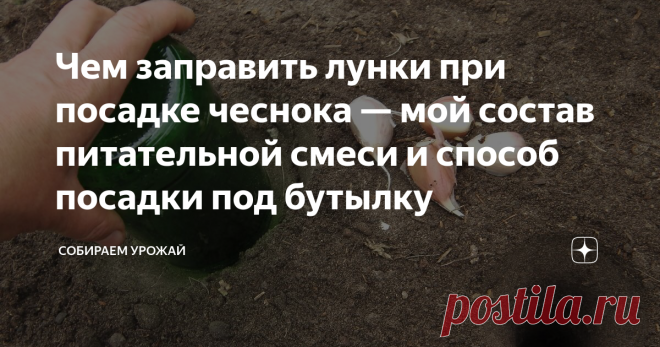 Чем заправить лунки при посадке чеснока — мой состав питательной смеси и способ посадки под бутылку  Добрый день, друзья-чесноколюбы и чесноководы!  По всем правилам посадить чеснок не всегда получается.  Не получается заранее — за месяц до посадки — приготовить грядку.  Не получается внести по ведру компоста на 1 квадратный метр, потому как его просто-напросто может в хозяйстве не быть.  Не получается выбрать оптимальное место, а советуют сажать чеснок после таких предшес...