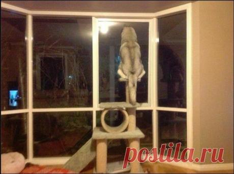 (+1) тема - Фотоподборка на любой вкус (3 часть) | Отдыхаем с юмором