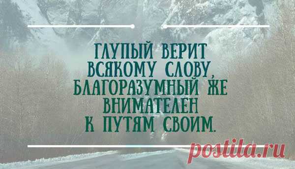 15 цитат царя Соломона для предприимчивых людей
Цитаты Соломона, которые помогут тебе в любом бизнесе. Мудрость начинается с твоего...
Читай дальше на сайте. Жми подробнее ➡