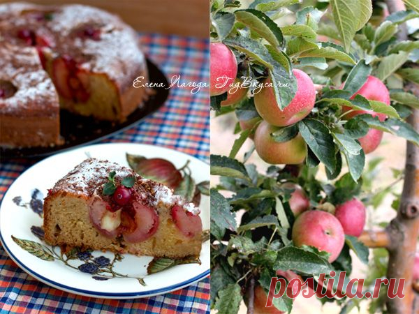 Пирог «Заливное яблочко» | Гид Вкуса .RU