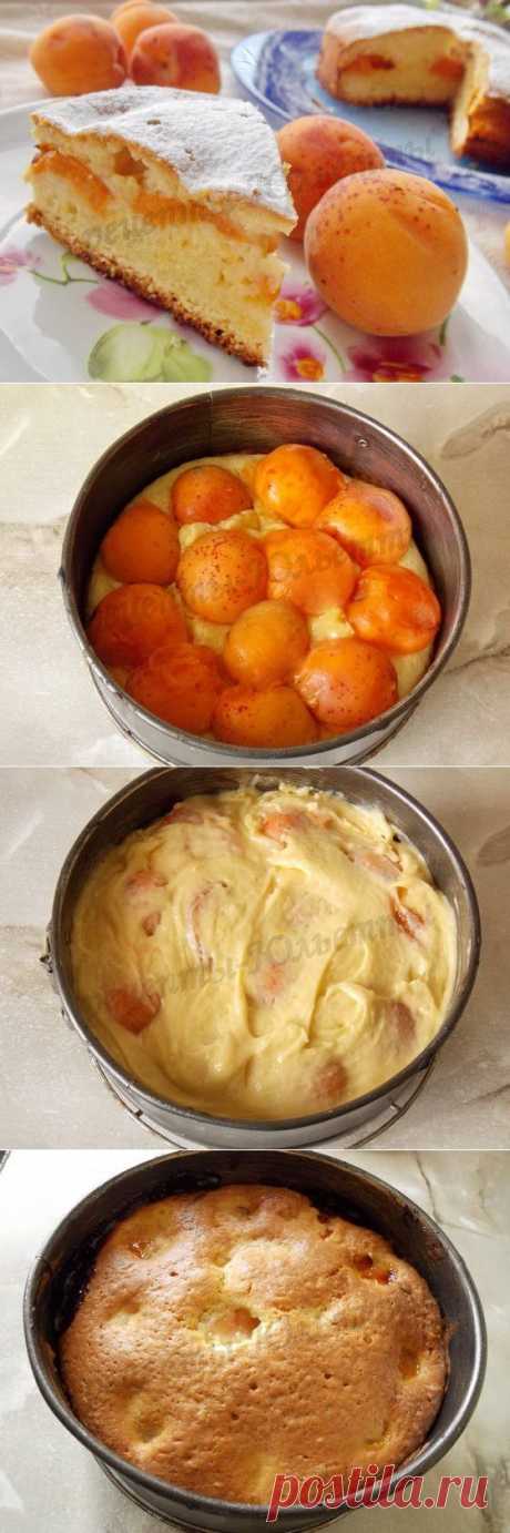 Пирог со свежими абрикосами