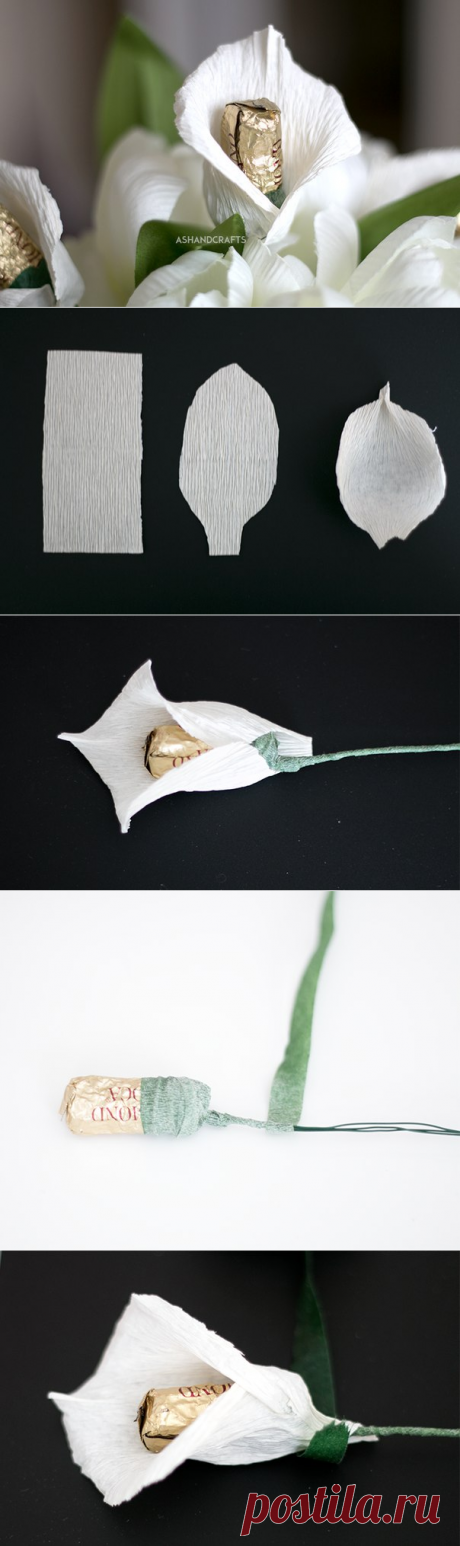 Каллы из креп бумаги — Сделай сам, идеи для творчества - DIY Ideas