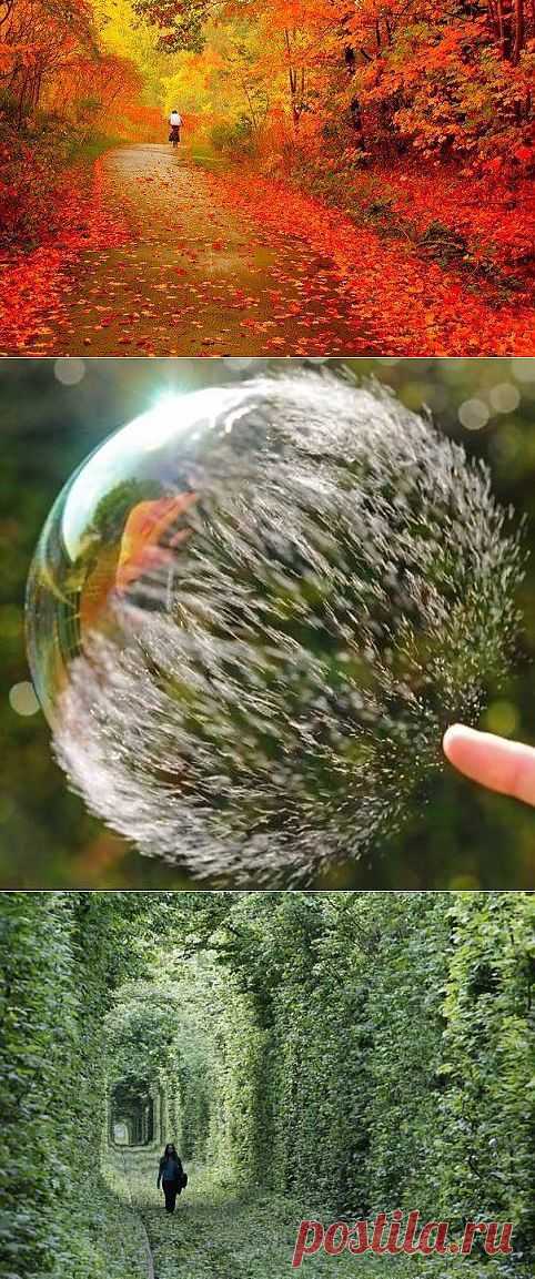 Я в шоке