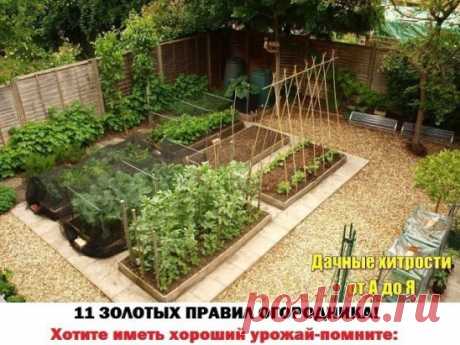 (1) Одноклассники