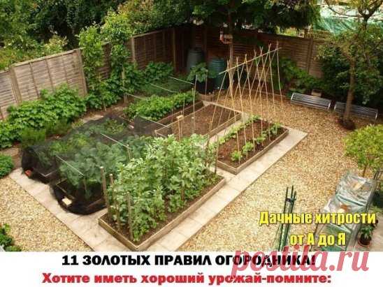(1) Одноклассники