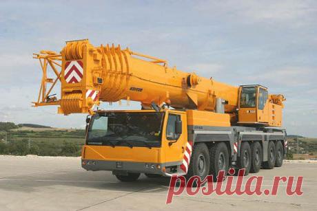 ООО"Услуга.ру" 
Аренда спец техники в Екатеринбурге. https://vk.com/public57467674 
https://vk.com/public70911214
 https://vk.com/public57467674
 https://vk.com/public70849072
 https://vk.com/public70825068 https://vk.com/arenda_spectehniki_ekat https://www.odnoklassniki.ru/group/53008962814069 https://special-service.info/listings 
https://www.acoola.ru/id542127
 Грузоперевозки,заявки на грузы
 Веб-сайт:https://special-service.info/