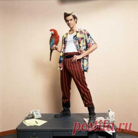 Эйс Вентура: Розыск домашних животных – малоизвестные факты о съемках комедии