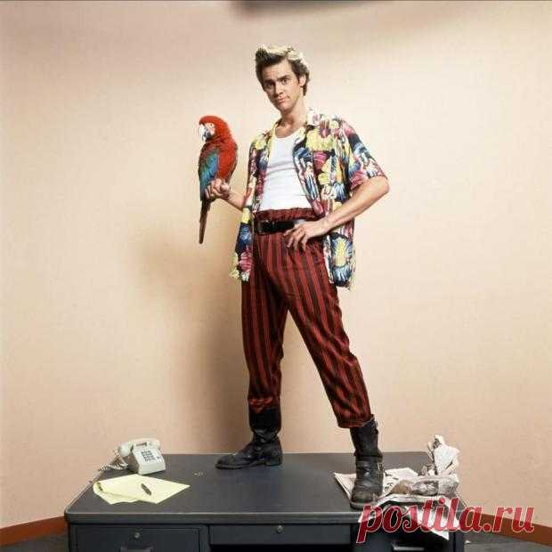 Эйс Вентура: Розыск домашних животных – малоизвестные факты о съемках комедии