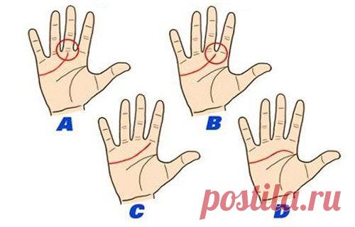 Линия сердца на вашей ладони...