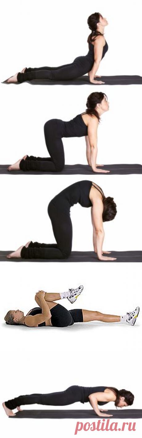 Палочка-выручалочка для больной спины. Упражнения из методики Дикуля для снятия внезапной боли в спине..