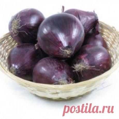 Если вас часто беспокоит печень - Блог Марина на 24open.ru