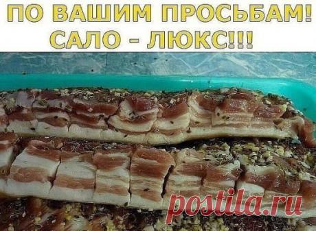 САЛО - ЛЮКС!!!
На литр воды один стакан (200г) - соли и половина такого стакана сахара ,
 лавр. лист (не жалеть!), перец горошек , довести до кипения и остудить .
 Вот этим рассолом залить сало(1-2 кг). Сало можно сразу пересыпать 
чесноком. День стоит дома потом в холодильник примерно на сутки. Потом 
выложить на полотенце чтоб рассол сбежал. Можете добавлять по
вкусу свои приправы. Такой посол очень вкусный. Поверьте сахар не 
ощущается. Приятного аппетита!!!