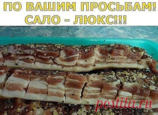 САЛО - ЛЮКС!!!
На литр воды один стакан (200г) - соли и половина такого стакана сахара ,
 лавр. лист (не жалеть!), перец горошек , довести до кипения и остудить .
 Вот этим рассолом залить сало(1-2 кг). Сало можно сразу пересыпать 
чесноком. День стоит дома потом в холодильник примерно на сутки. Потом 
выложить на полотенце чтоб рассол сбежал. Можете добавлять по
вкусу свои приправы. Такой посол очень вкусный. Поверьте сахар не 
ощущается. Приятного аппетита!!!