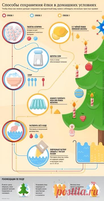 Способы сохранения елки в домашних условиях