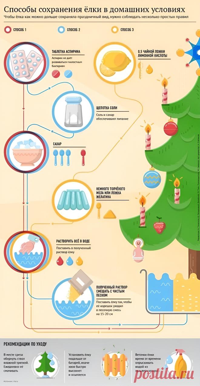 Способы сохранения елки в домашних условиях