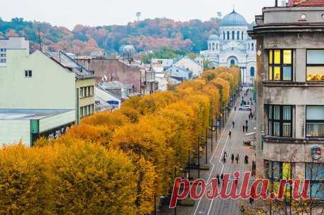 Autumn | Kaunas | Flickr - Photo Sharing!
от A. Aleksandravičius  |  Pinterest • Всемирный каталог идей