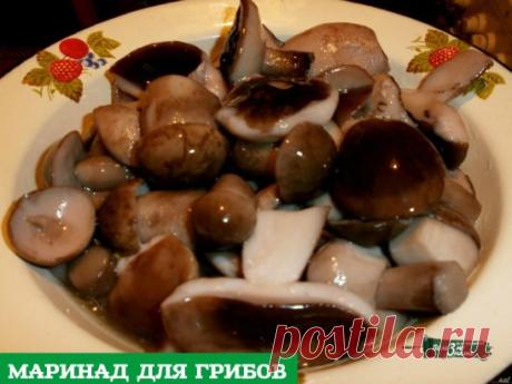 МАРИНАД ДЛЯ ГРИБОВ (Опят, маслят, белых и т. д. ) 
1 литр воды; 
2 ст. л. сахара; 
4 ч. л. соли; 
3 шт. лаврового листа; 
6 горошин душистого перца; 
4 шт. гвоздики; 
3 кусочка корицы (молотой ½ ч. л.) ; 
3 ч. л. уксусной эссенции 70 %. 
При использовании столового 5% уксуса необходимо взять 800 мл воды и 200 мл 5% уксуса. При использовании 9% уксуса - 890 мл воды и 110 мл 9% уксуса. 
ПРИГОТОВЛЕНИЕ: 
Вскипятить воду, добавить специи, проварить минутки три (уксус добавить в...