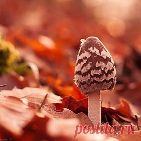 500px / Popular Photos